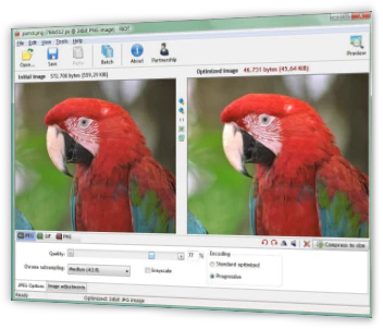 Classic RIOT window comparing an original parrot photo with a much smaller optimized JPEG