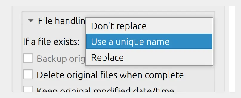 File handling panel with If a file exists open: Don’t replace, Use a unique name, and Replace